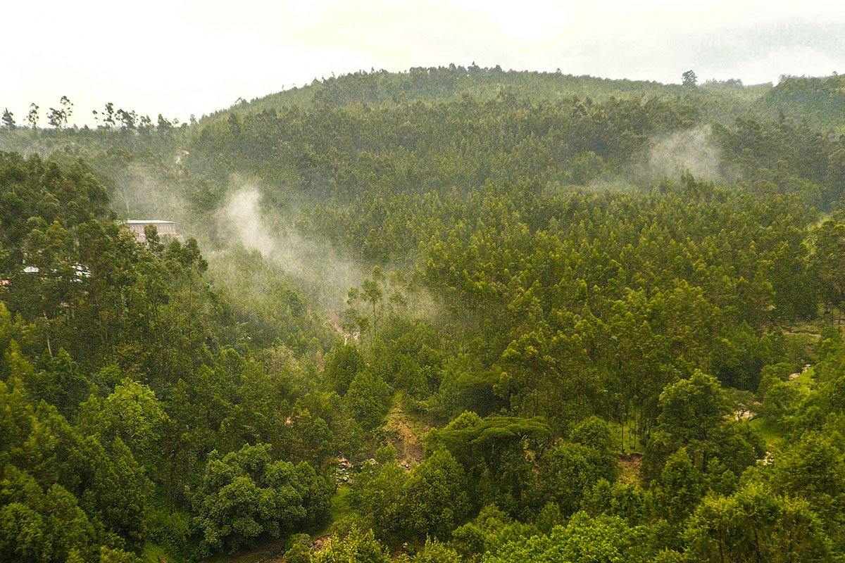 Entoto Hills